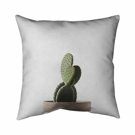 FONDO 26 x 26 in. Potted Cactus-Double Sided Print Indoor Pillow FO2793279